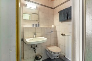 Shower, hair dryer, towels - Apartment Hedi, 35 sqm with Mountain View, Balcony and Wi-Fi (Todtnau)