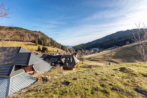 Exterior - Apartment Hedi, 35 sqm with Mountain View, Balcony and Wi-Fi (Todtnau)