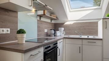 Fridge, oven, stovetop, dishwasher