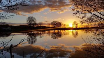 A serene lakeside view with reflections of trees and a sunset.