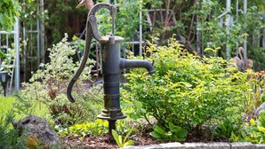 Una bomba de agua antigua en un jardín.