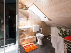 Ducha, secador de pelo y toallas