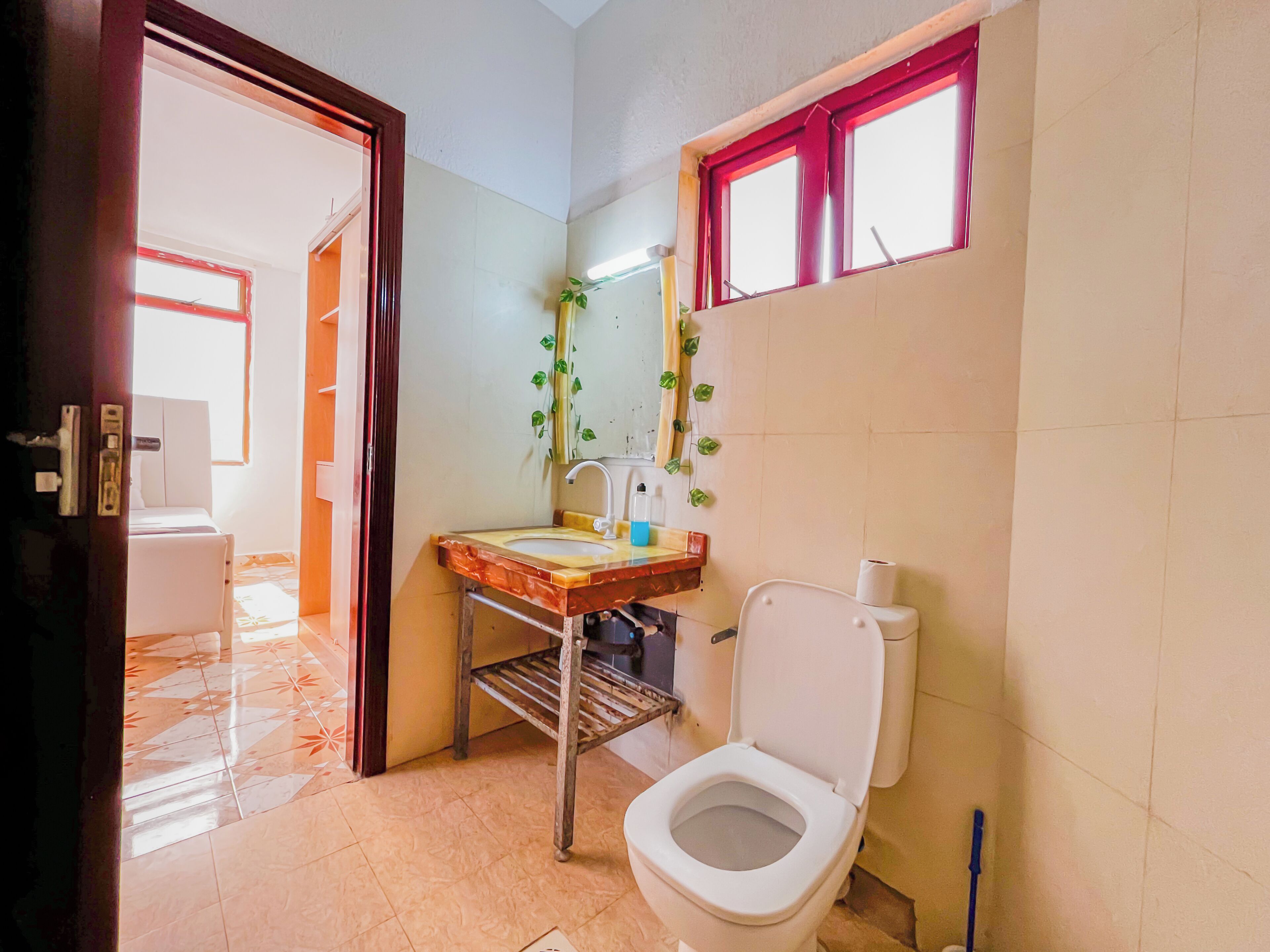 A small bathroom with a toilet, sink, and mirror. There is a window with red trim and a plant hanging on the wall.
