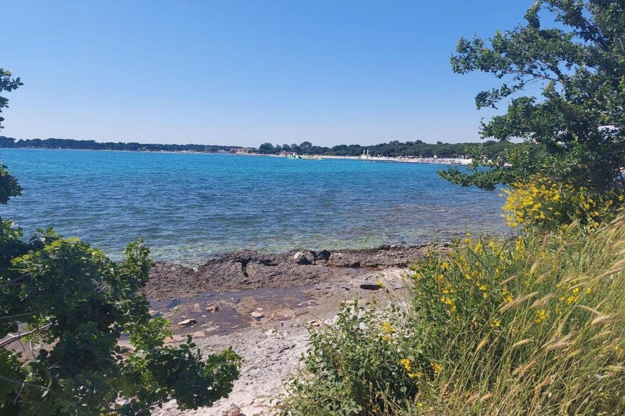 A coastal view with clear blue water, rocky shoreline, and greenery.