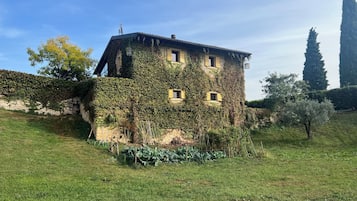 Esterni