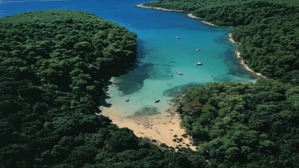 An aerial view of a coastal area with dense forest, clear turquoise waters, and a sandy beach. - Tranquil Escape in Banjol (Banjol)
