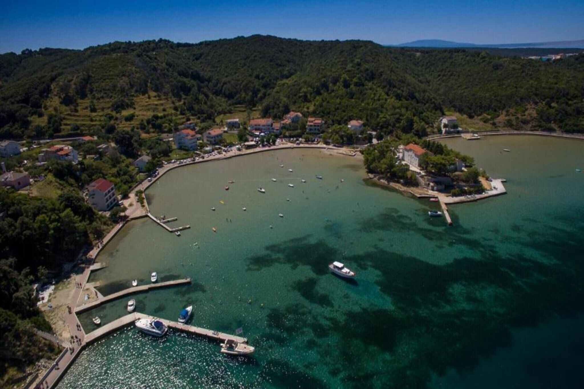 An aerial view of a coastal town with a marina, houses, and a forested hill in the background.