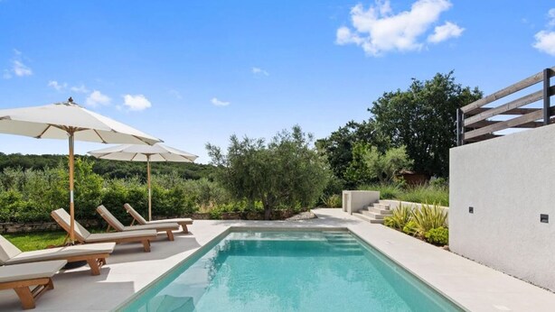 A rectangular swimming pool with lounge chairs and umbrellas, surrounded by greenery and a modern building.