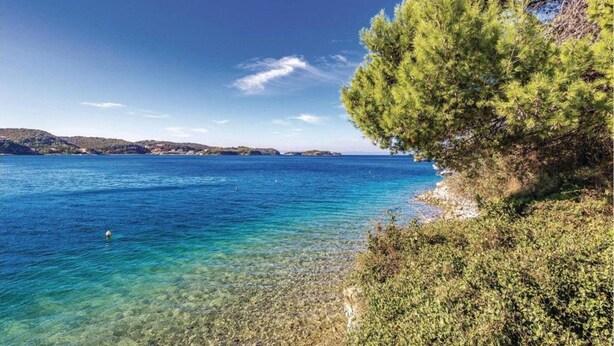 A coastal landscape with clear blue waters, a tree-lined shoreline, and distant landforms. - Apartment in Supetarska Draga near Sandy Beach (Supetarska Draga)