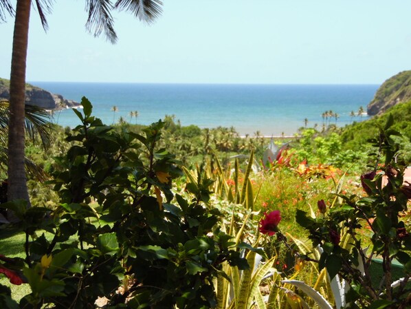 Stroll through a serene garden filled with lush greenery and vibrant flowers, offering a tranquil escape with a stunning ocean view.