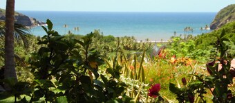 FBSH Apartment in Exotic Oceanfront Gardens