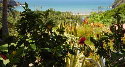 FBSH Apartment in Exotic Oceanfront Gardens