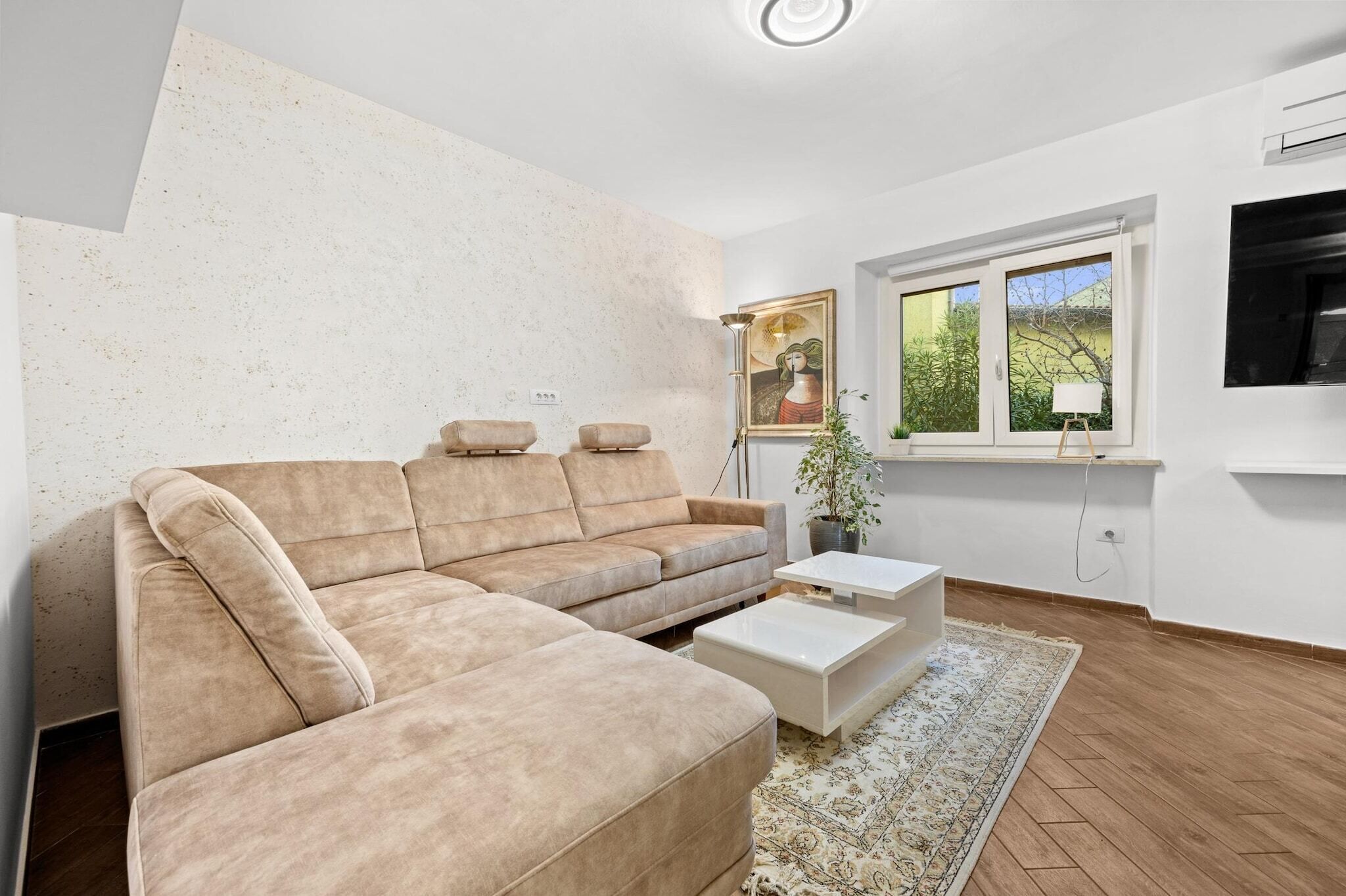 Smart-TV, Arbeitsbereiche