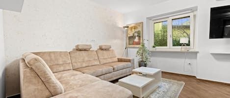 Smart-TV, Arbeitsbereiche