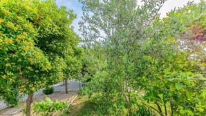 A garden with various trees and shrubs, a paved path, and a small pond. - Apartment Rab with Private Dock and Sea Views (Rab)