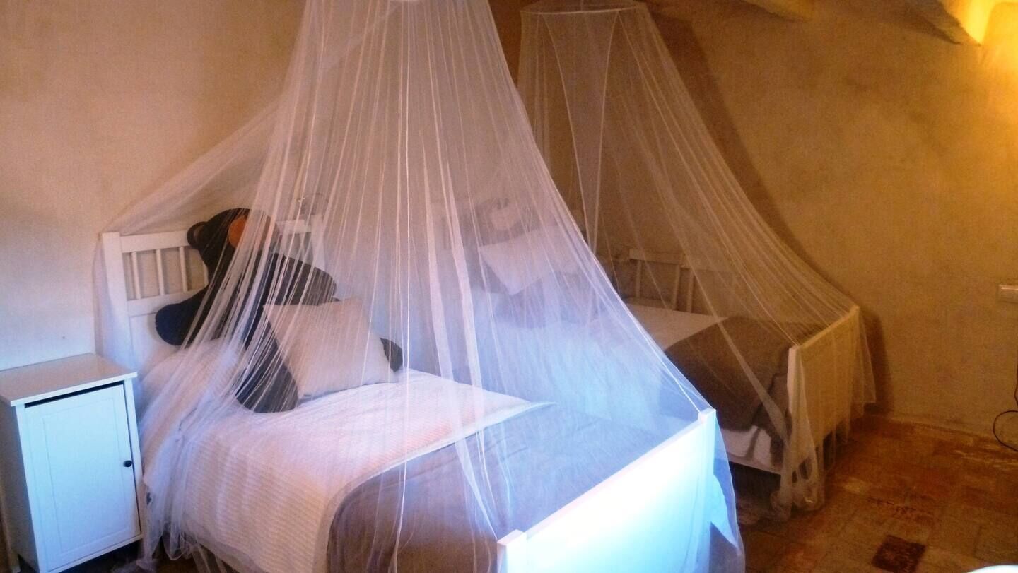 A single bed with a white canopy, a bedside table, and a nightstand.