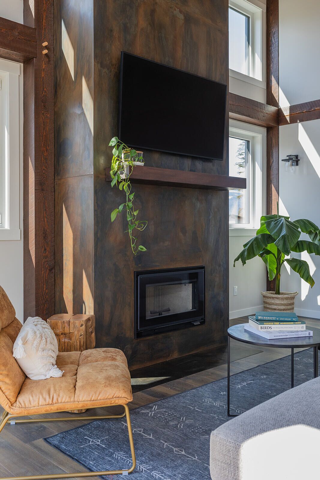 Smart TV, fireplace, offices, computer monitors