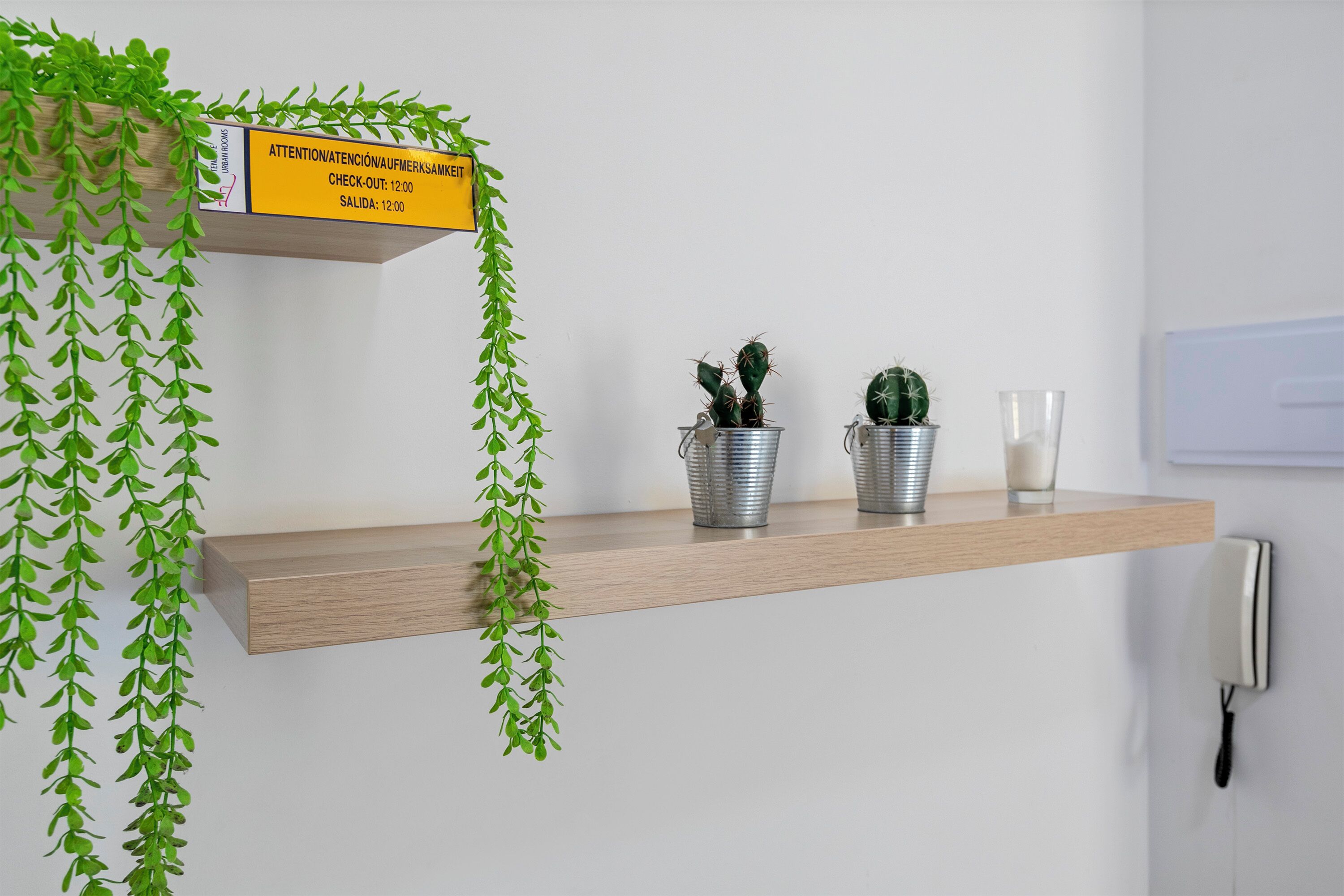 A wooden shelf with two potted cacti and a glass of water, a hanging plant, and a sign with check-out and check-in times.