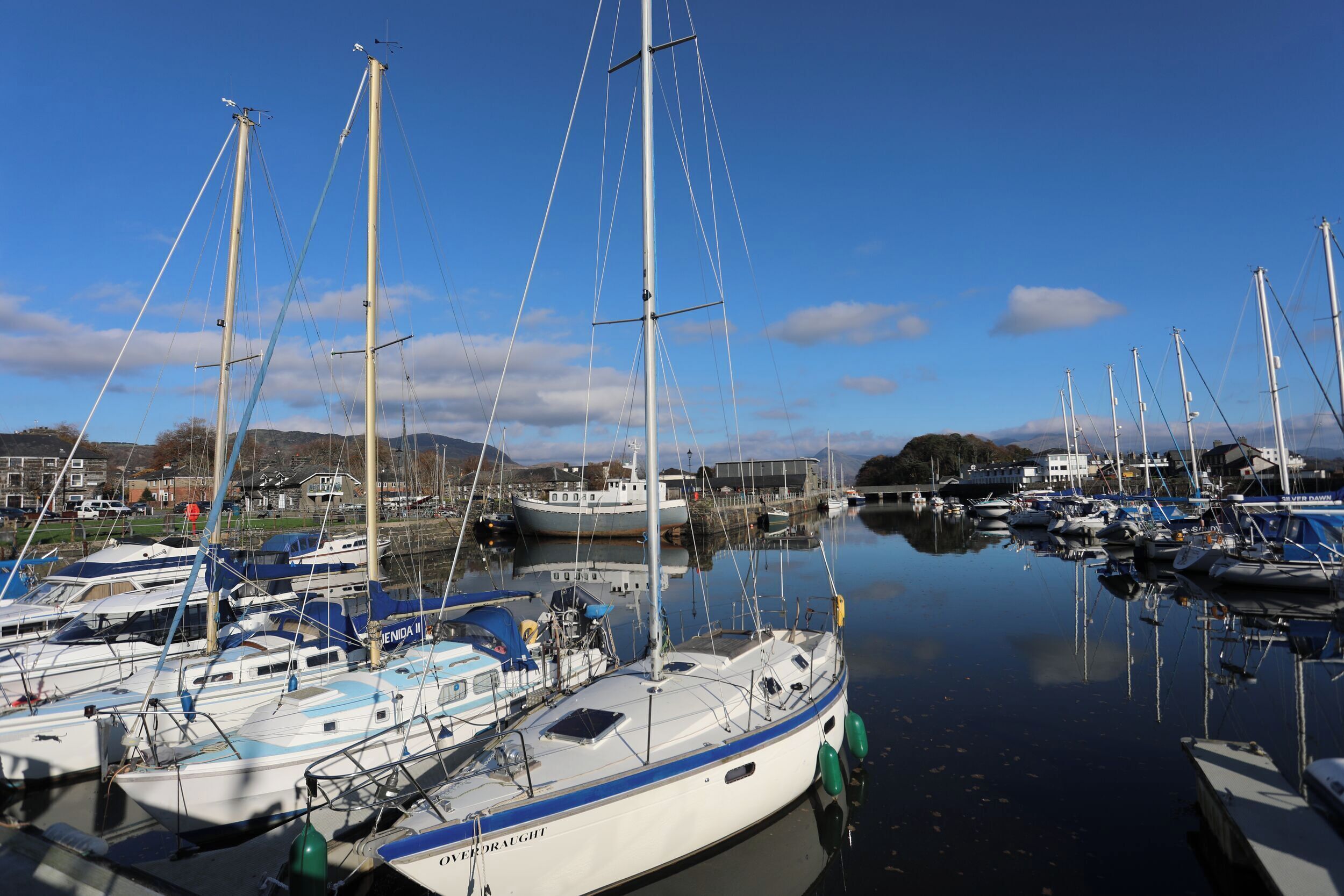 A marina with multiple sailboats docked.
