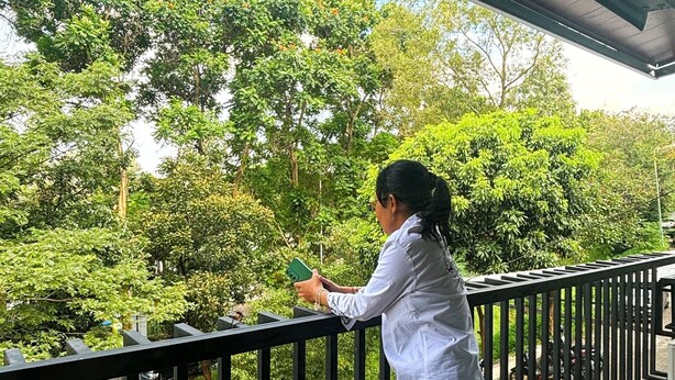 A person standing on a balcony with a railing, overlooking a parking area with cars and greenery. - Griya Inn (Semarang)