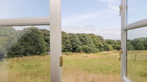 Uitzicht door een raam, met een heldere lucht en een dicht bos op de achtergrond.