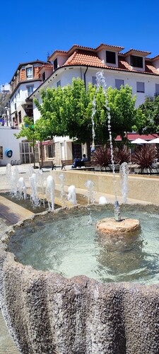 Lavanda Termas São Pedro do Sul