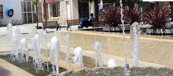 Lavanda Termas São Pedro do Sul