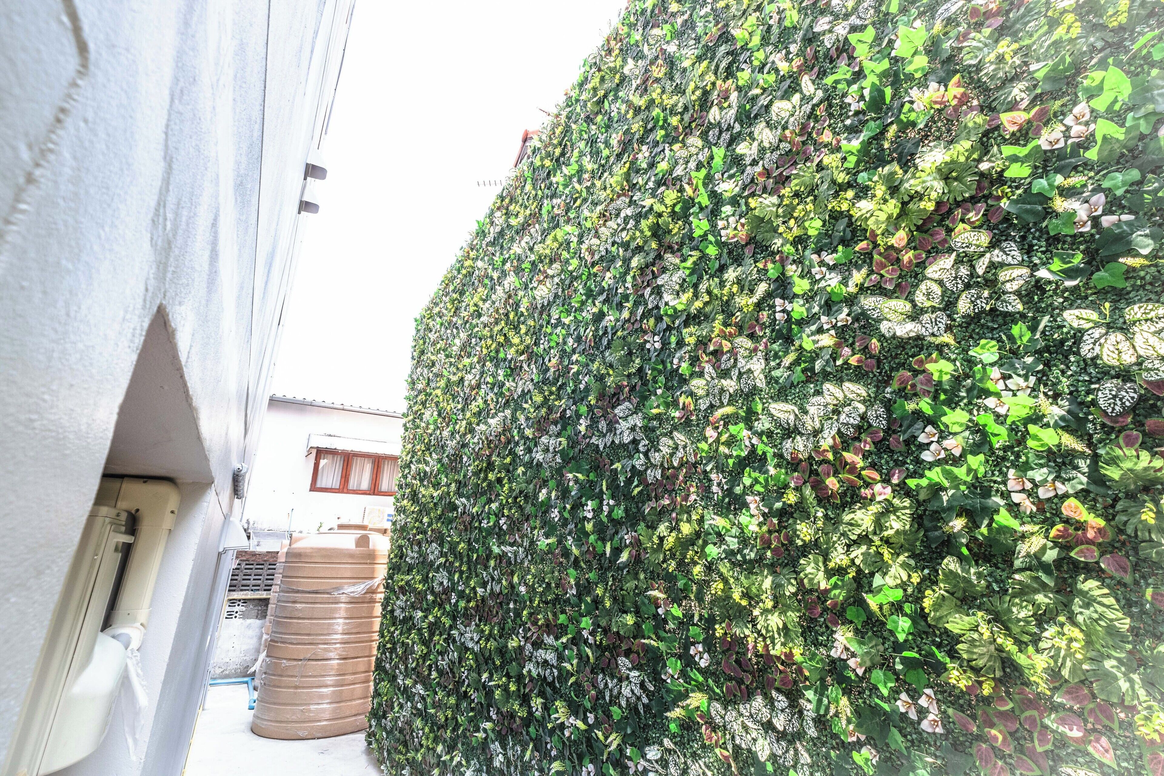 A narrow alley with a tall, densely vegetated wall on one side and a building with a white exterior on the other.