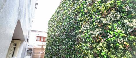 A narrow alley with a tall, densely vegetated wall on one side and a building with a white exterior on the other.