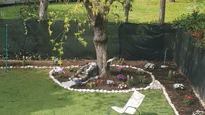 A backyard with a lawn, a tree, a small garden with flowers, and two lawn chairs. - Villa "Domus Roma" - Room Spanish Steps (Roma)