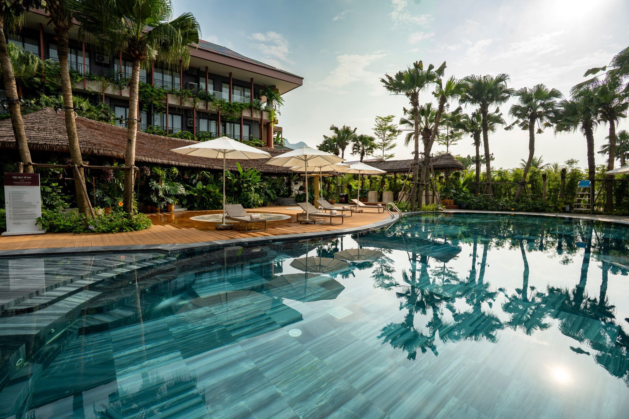 Piscina com espreguiçadeiras e guarda-sóis, cercada por palmeiras e um edifício com varandas.