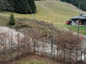 Property grounds - Spacious chalet for 15, hot tub, parking, pets allowed (Châtel)