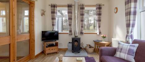 Een televisie, een open haard en een dvd-speler