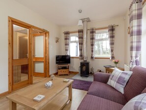 TV, fireplace, DVD player