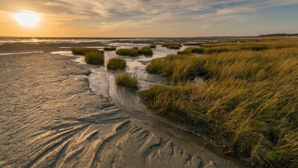Una playa con arena y césped, un sendero, y el sol poniéndose al fondo.