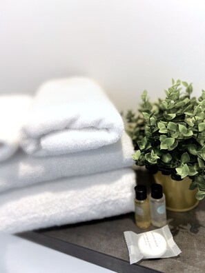 Hair dryer, towels, soap, shampoo