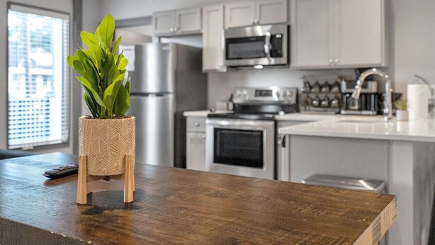 Una cocina moderna con armarios blancos, electrodomésticos de acero inoxidable y una encimera de madera con una planta.