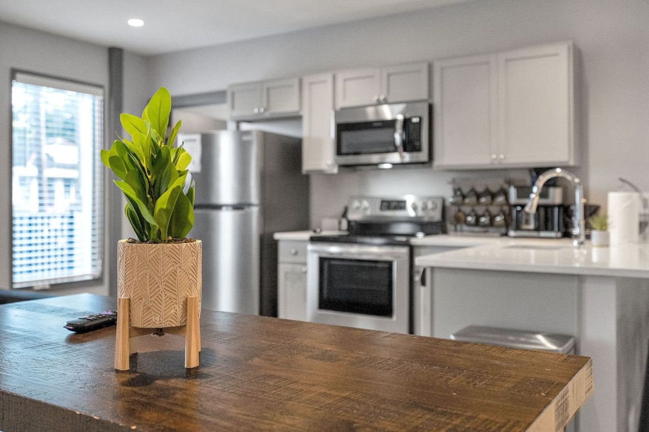 Een moderne keuken met witte kastjes, roestvrijstalen apparatuur en een houten aanrecht met een plant.