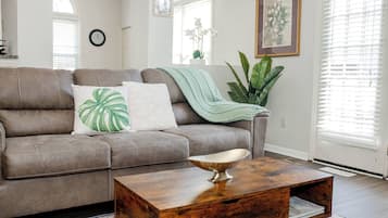 Flat-screen TV, books