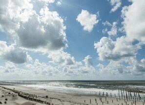 Apartment | View from property - Apartment in Sint Maartenszee Near Beach (Sint Maartensvlotbrug)