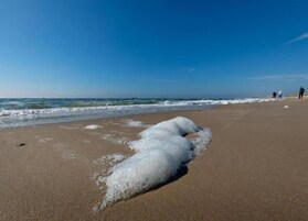 apartman | Kilátás a szállásról