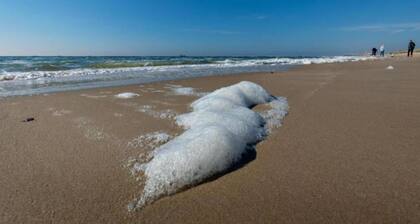 Apartment in Sint Maartenszee Near Beach