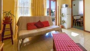A living room with a sofa, a small table, and a potted plant.