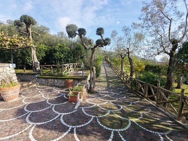 A paved pathway with a decorative pattern, surrounded by trees and a wooden fence.