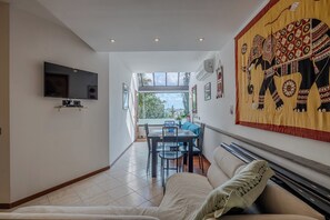 智能電視、書籍