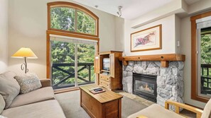 Télévision, cheminée, lecteur de DVD