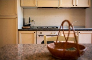 Fridge, oven, stovetop, cookware/dishes/utensils