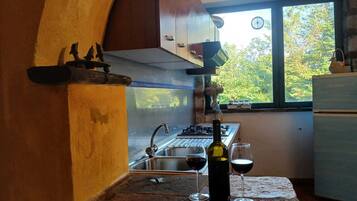 KĂŒhlschrank, Mikrowelle, Ofen, Herdplatte