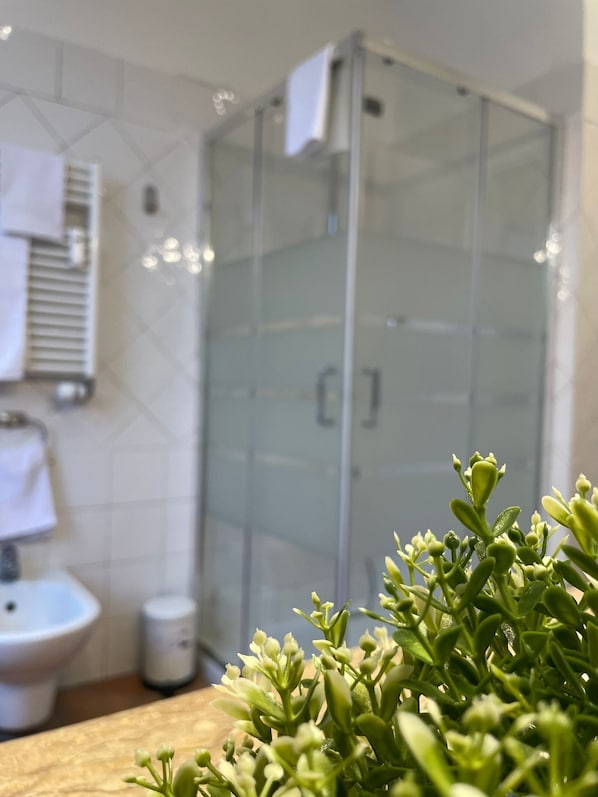 Dusche, Haartrockner, Bidet, Handtücher