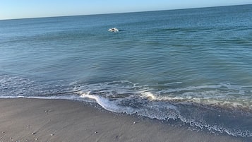 Enjoy a serene ocean view with access to the beach.
